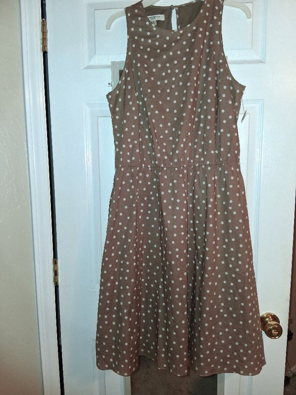 NEW Evan Picone Taupe Polka Dot Dress-size 12